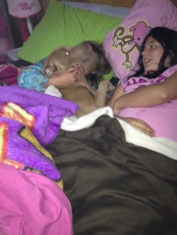 Muscular fawn American XL Bully dog cuddling with children on a bed covered in colorful blankets and pillows in a cozy bedroom.