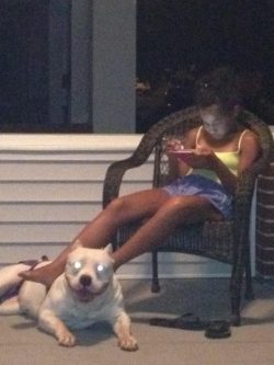 Muscular white American XL Bully dog relaxing on a porch at night, lying contentedly near a child sitting in a wicker chair.