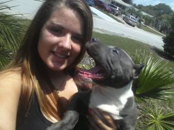 Blue and white American XL Bully puppy with a muscular build being held outdoors on a sunny day, showing a joyful and friendly temperament in a suburban neighborhood setting.