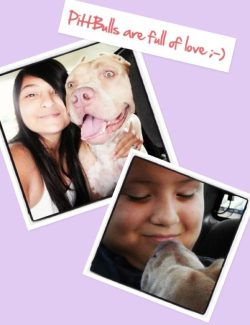 Champagne American XL Bully with a muscular build and expressive eyes sitting in a car, showing a joyful and loving temperament, accompanied by a person, with playful text overlay on a pastel background.