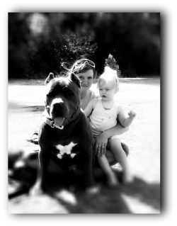 Large blue American XL Bully with a white chest patch sitting outdoors on grass, displaying a muscular build and friendly demeanor, accompanied by a woman and a young child.