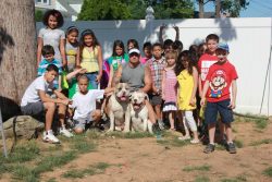 American XL Bully dogs sitting with children outdoors, showcasing their friendly temperament