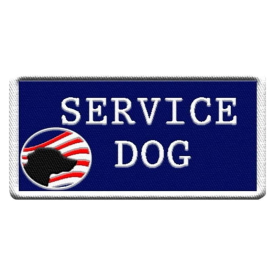 BGK's the Rock is the biggest blue Pitbull XL in the world and a legend service dog